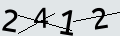 verifycode